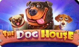 Razed Casino – The Dog House